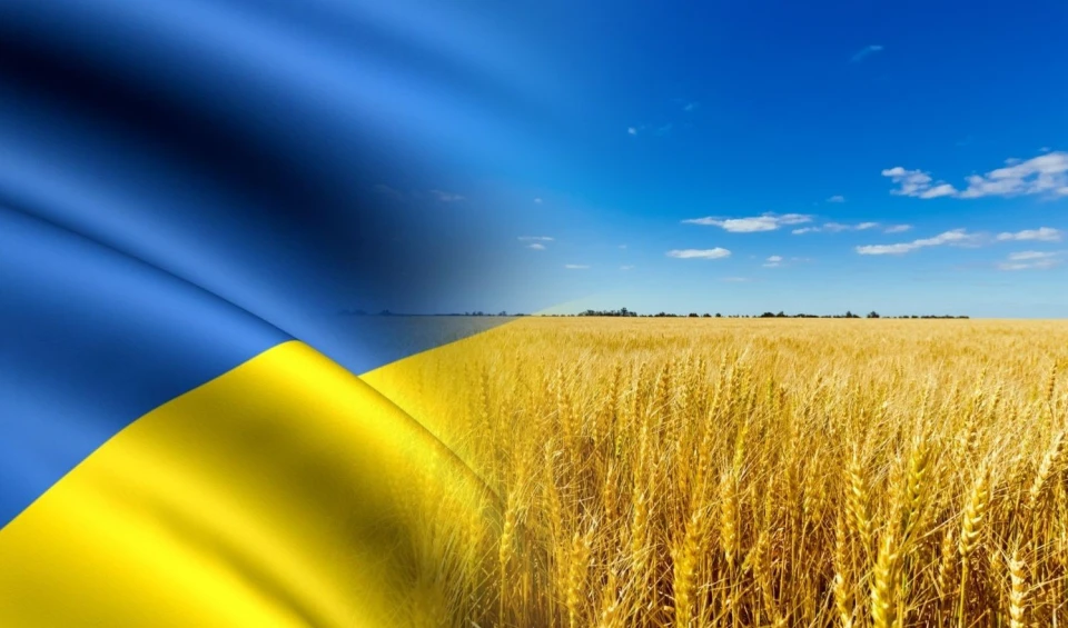 Happy Independence Day of Ukraine!